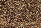 Crisp G01010 Brown Malt 1 lb. Crushed