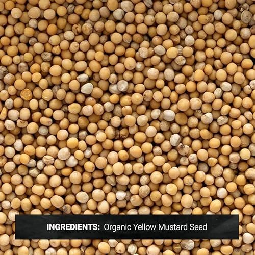 Frontier Co-op Organic Whole Yellow Mustard Seed, 1-pound Bulk Bag, Mild Spiciness for Soup, Pickling and More Kosher