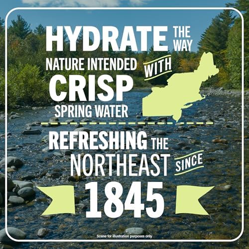 Poland Spring Maine Spring Water Bottles with Sport Flip Cap - Still Bottled Water with Naturally Occurring Minerals for Taste - 23.7 Fl Oz Plastic Bottles