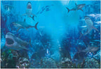 Funnytree 7x5FT Shark Under The Sea World Photography Backdrop for Birthday Party Banner Decor Aquarium Ocean Background Photo Booth