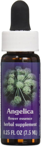 Flower Essence Services Angelica Essence, 0.25 Ounce