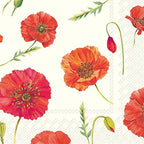 Celebrate the Home Floral 3-Ply Paper Cocktail Napkins, Polly, 20-Count