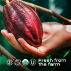 U Chocolate Organic Cacao Butter 16 oz, Fresh From Our Farm, Raw Food Grade Cocoa Butter, For Vegan Baking, Chocolate Making and more