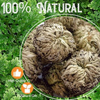 4-Pack Large Premium Dried Rose of Jericho, Selaginella Resurrection Grass, Dried Fern Scale Leaf Prayer Plant, Symbol of Abundance and Prosperity, Ideal for Home Decoration and Spiritual Healing