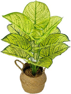 Artificial Potted Caladium Plant with Lifelike Green Leaves, Ornament Artificial Plants Simulated Potted Bonsai Decoration Tree Leaf Potted Garden Floor Home Room Decorate (Yellow(No Flowerpot), 60cm)