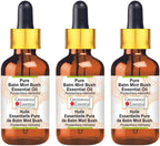 Greenwood Essential Pure Balm Mint Bush Essential Oil (Prostanthera melissifoli) with Glass Dropper Steam Distilled (Pack of Three) 100ml X 3 (10 oz)