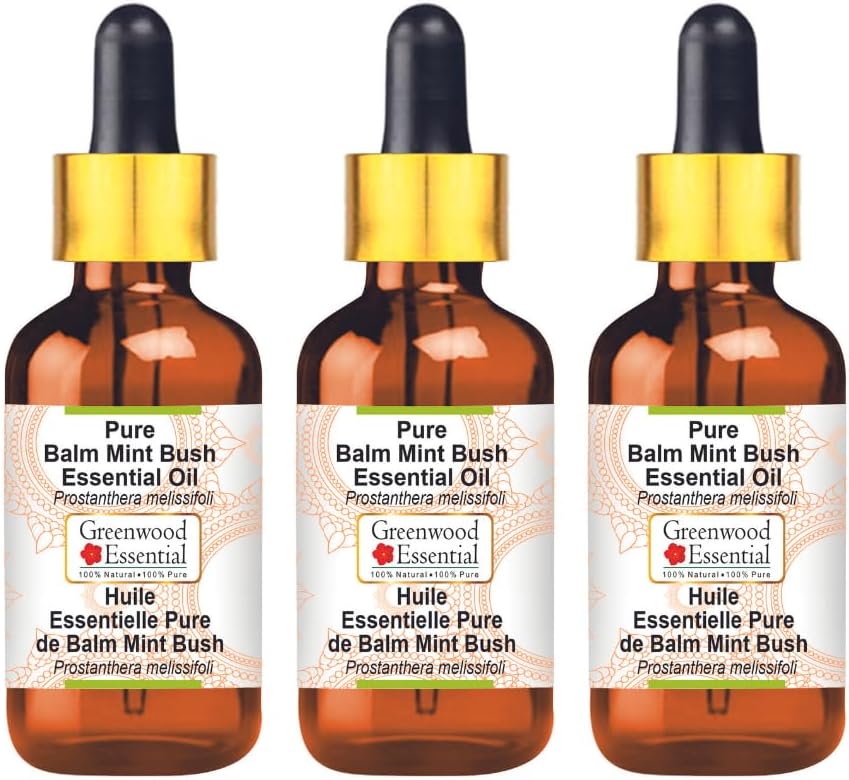 Greenwood Essential Pure Balm Mint Bush Essential Oil (Prostanthera melissifoli) with Glass Dropper Steam Distilled (Pack of Three) 100ml X 3 (10 oz)