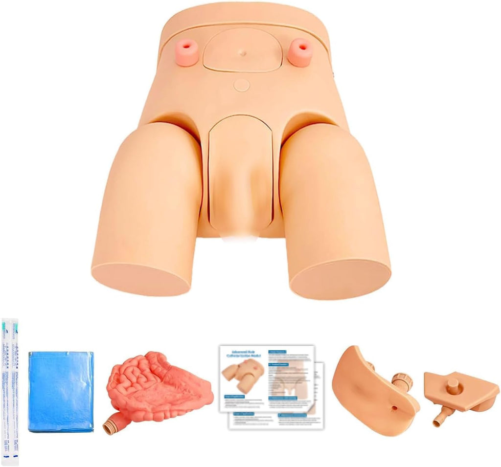 Catheterization Model Male Female Interchangeable, Nursing Practice Urinary Urethral Catheter Manikins PVC Teaching Catheter Model for Students Or Nurses Catheterization Simulator Kit