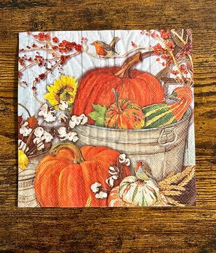 IHR Ideal Home Range Party Napkins Disposable 3-Ply Paper Lunch Napkin Pack, 6.5" x 6.5", It's Pumpkin Time, 20-Count