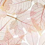 IHR Ideal Home Range Cocktail Napkins Disposable 3-Ply Paper Party Napkin Pack, 5" x 5", Transparent Leaves, 20-Count