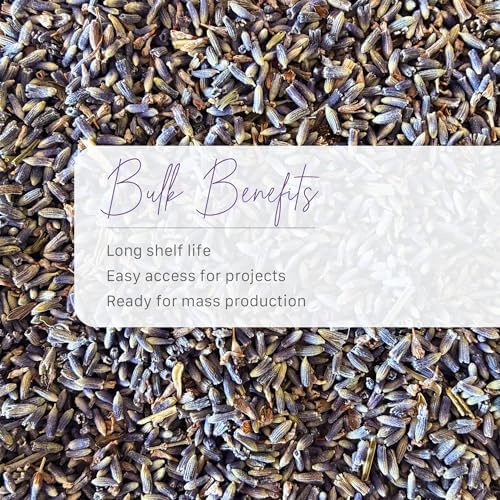 French Lavender Buds Natural Dried Flowers Wholesale, High-Altitude, Made in the USA, Ultra Blue Grade - 1/2 Pound