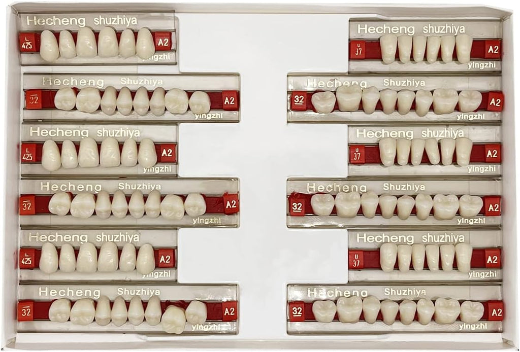 84 Pcs False Teeth Dental Complete Acrylic Resin Denture Teeth, 3 Sets Whole Teeth Synthetic Polymer Denture Tooth, 23 Shade A2 Upper + Lower Dental Materials for Replacement, DIY or Halloween