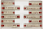 84 Pcs False Teeth Dental Complete Acrylic Resin Denture Teeth, 3 Sets Whole Teeth Synthetic Polymer Denture Tooth, 23 Shade A2 Upper + Lower Dental Materials for Replacement, DIY or Halloween