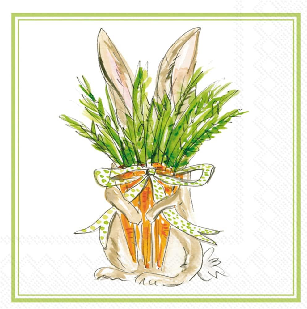 IHR Ideal Home Range 3-Ply Lunch Size Paper Party Napkins Rosanne Beck Collections, 20-Count, 6.5" x 6.5", Carrot Bunny