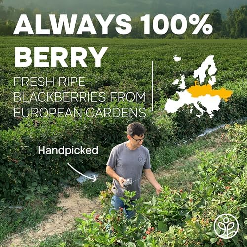 Jungle Powders Blackberry Powder 3.5 Ounce Bag Freeze Dried Blackberries Fruit Additive Free Unsweetened Smoothie Superfood Nordic Wild Blackberry Extract for Baking Flavoring Dry Black Berry Powder
