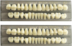 56 Pcs False Teeth Fake Teeth 2 Sets Synthetic Resin Dental Tooth, Upper Lower Denture Tooth, Party Horror Prop Makeup DIY Replacement, 22 A3