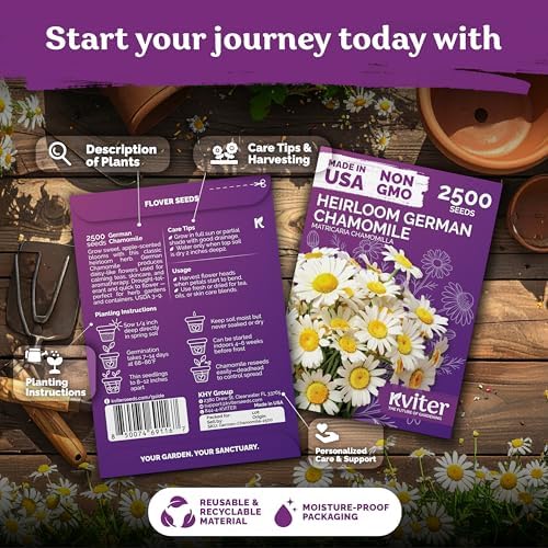 KVITER 2,500 German Chamomile Seeds for Planting (Matricaria Chamomilla/Recutita) – Heirloom & Non-Gmo Medicinal Herb Seeds, Flowers for Remedies & Chamomile Tea Organic – Indoors/Outdoors Herb Garden