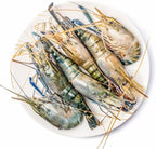 OCEANZEN Jumbo Freshwater Prawn|Macrobrachium Rosenbergii|Jumbo Size, Head-On, Shell-On, IQF|Sweet, Firm Texture|Restaurant-Quality Seafood for Grilling, Stir-Fry & Steaming|2LB/Pack|10 lb