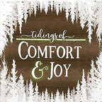 Ideal Home Range Comfort and Joy Party Napkins - 40 Count | 2 Pack of 20CT 3-Ply Cocktail Napkins, Snow-Covered Design