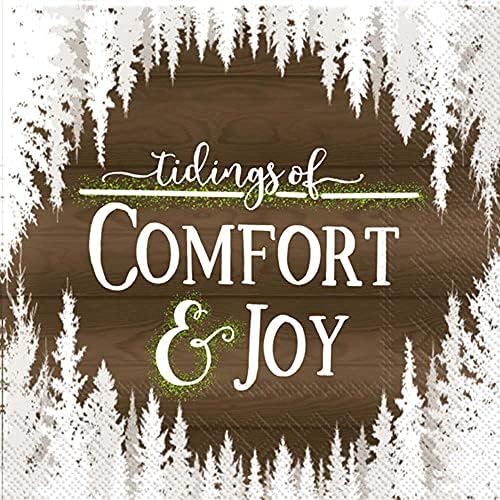 Ideal Home Range Comfort and Joy Party Napkins - 40 Count | 2 Pack of 20CT 3-Ply Cocktail Napkins, Snow-Covered Design
