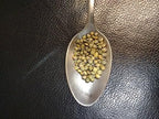 French Green Lentils 5 Pounds Petite, USDA Certified Organic, Non-GMO Bulk, Product of USA, Mulberry Lane Farms
