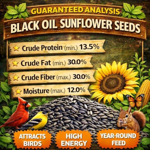 Office Roast Premium Black Sunflower Seeds – | 2 LB Bulk Value Pack | Natural Wild Bird Seed for Backyard Feeders, High-Energy Food for Songbirds