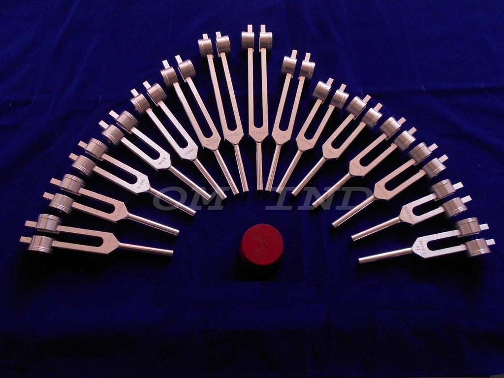 Human Organ 15 pc Weighted Tuning Fork for Healing with Velvet Bag & Activator