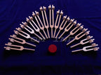 Human Organ 15 pc Weighted Tuning Fork for Healing with Velvet Bag & Activator