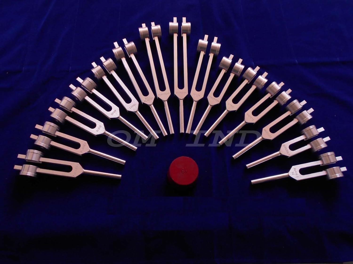 Human Organ 15 pc Weighted Tuning Fork for Healing with Velvet Bag & Activator