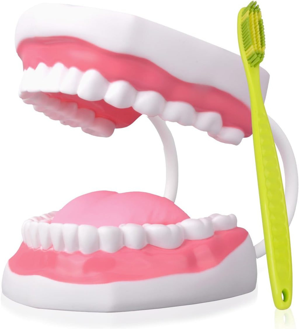 Ultrassist Mouth Model White Hinge for Speech Therapy, Ideal Brushing Teaching Dental Teeth Model for Kids and Children, 6 Times Enlarge, Includes Toothbrush