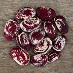 Christmas Speckled Lima Bean - 25 Seeds - Heirloom Butterbean Variety, USA-Grown, Non-GMO Butter Bean Seeds for Planting Outdoors in The Home Garden, Thresh Seed Company