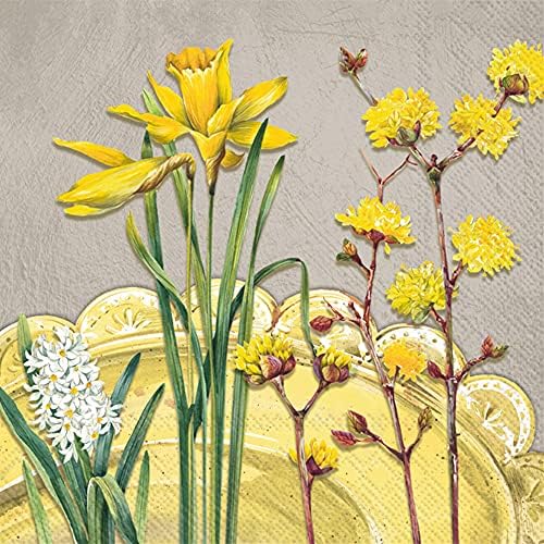 Boston International IHR 3-Ply Paper Napkins, 20-Count Lunch Size, Nancy Grey