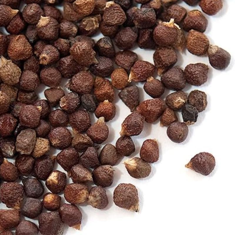 MOTHERLAND GOODS Alligator Pepper Seeds African Grains of Paradise, Guinea Pepper, Famous African Spice Mbonge Spice With Citrus Notes Hepper Pepper for Cooking, Brewing Beer (1 Oz Seeds)