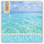 Michel Design Works Soft Triple-ply Paper Luncheon Napkins, Beach Themed, Perfect for Everday Use and Display, 20 Count