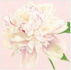 Caspari Duchess Peonies Paper Luncheon Napkins in Blush, 20 Per Package