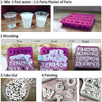 Falling in Art 1lb Plaster of Paris Powder - Hand Mold Casting Kit Powder, Gypsum Cement, Pottery & Ceramic Plaster Powder for Crafts, Sculpture, Diorama and Home Decor