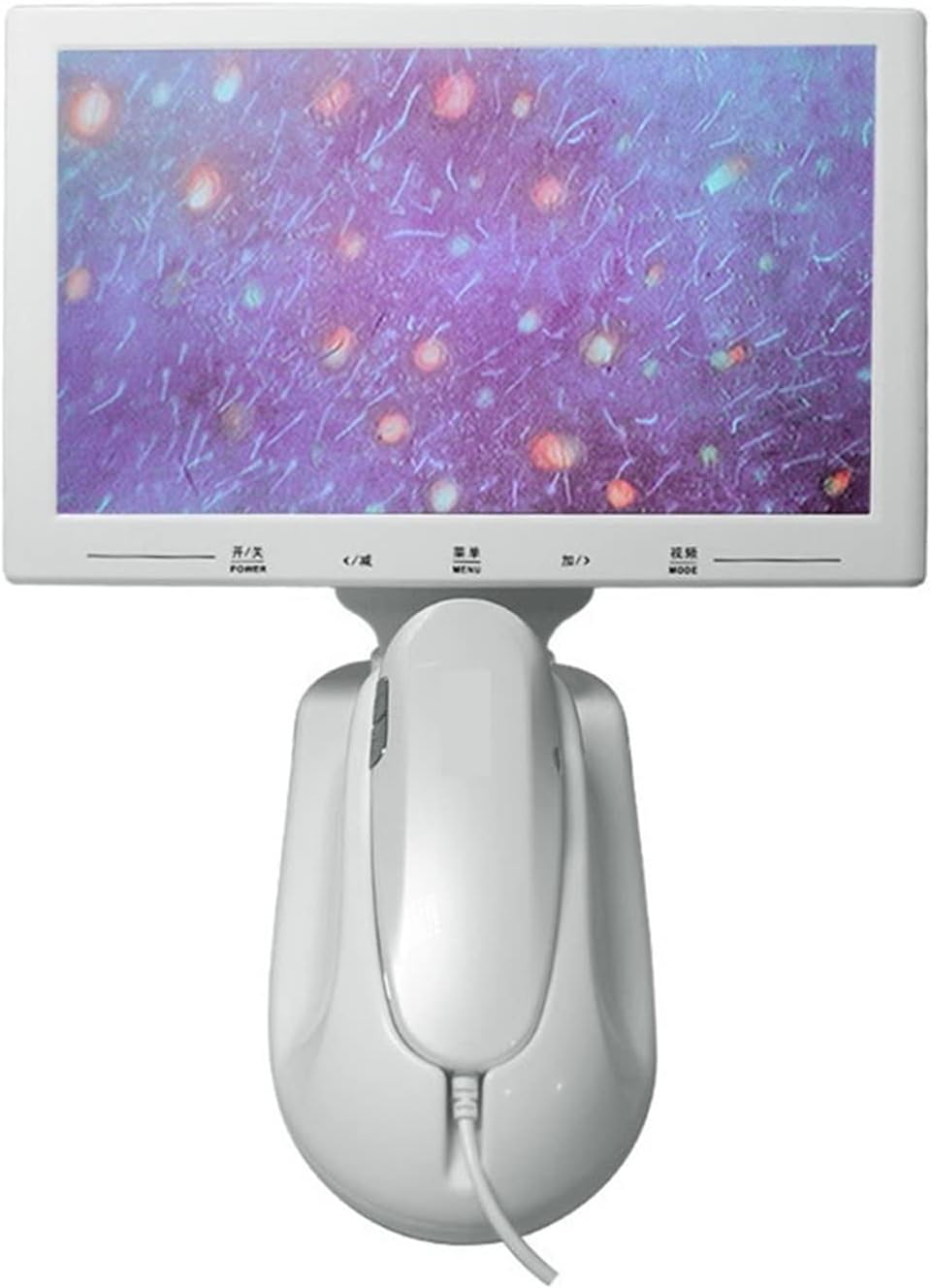 11inch UV Skin Analyzer Machine Professional Scalp Detector Hair Follicles Oil Moisture Tester Facial Skin Hair Analyser Machine Beauty Equipment (Color : 200X Lens, Size : 1) (50x Lens 1)