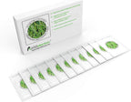 Yogurt Starter Cultures - Pack of 12 Freeze-Dried Sachets for Lactobacillus Rhamnosus and L.Gasseri Yogurt (12 sachets Pack)