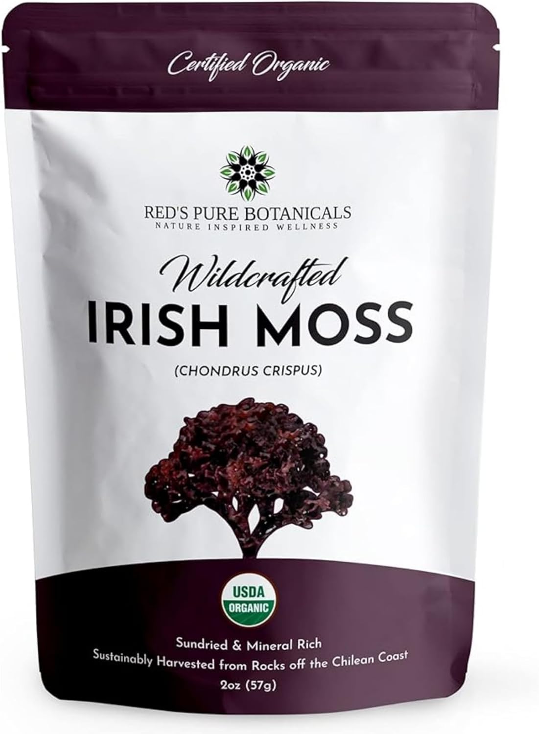 USDA Organic Irish Sea Moss – Wildcrafted Chondrus Crispus (Purple) – 100% Natural, Sustainably Harvested from Chile – Makes ~100oz of Sea Moss Gel – Nutrient-Rich Superfood – Red’s Pure Botanicals