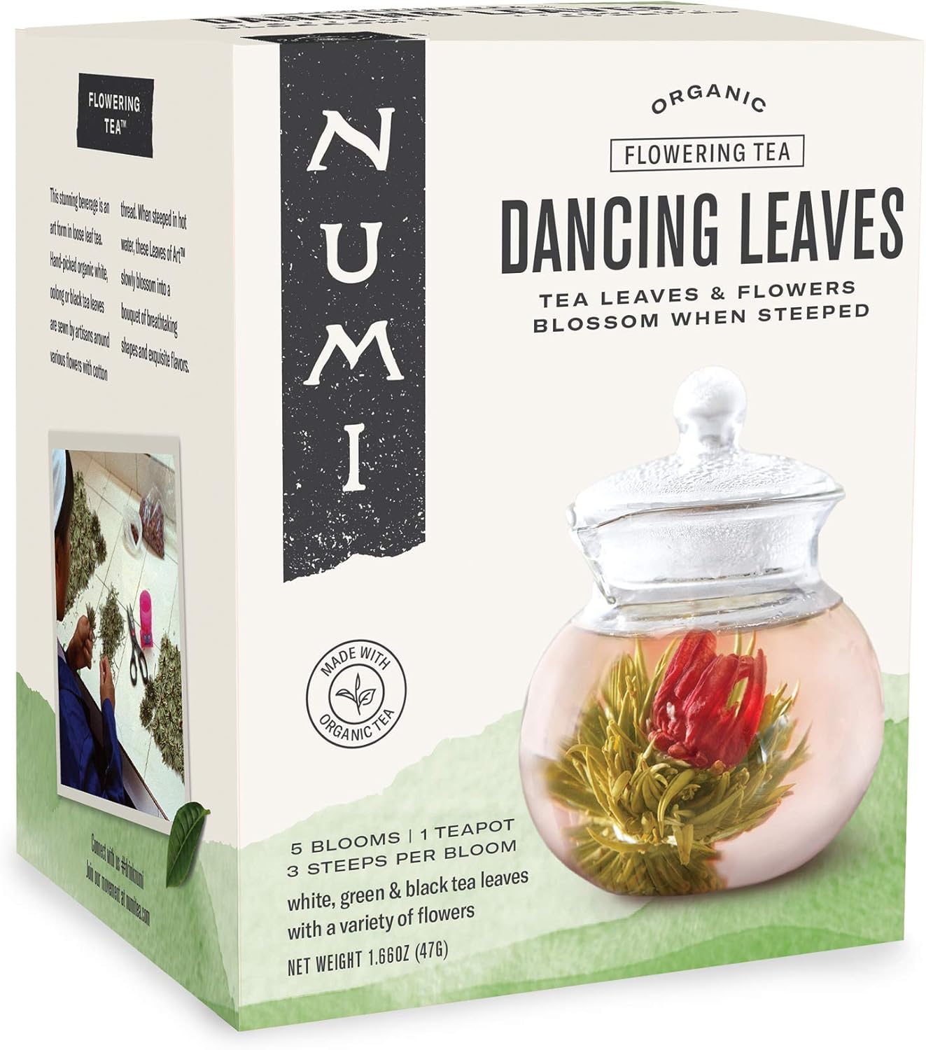 Numi Organic Tea Dancing Leaves Flowering Tea Gift Set, 5 Tea Blossoms with 16 Ounce Glass Teapot