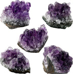 SUNYIK Natural Amethyst Quartz Crystal Cluster,Druzy Geode Specimen Gemstone Sculpture Sphere, Pack of 5