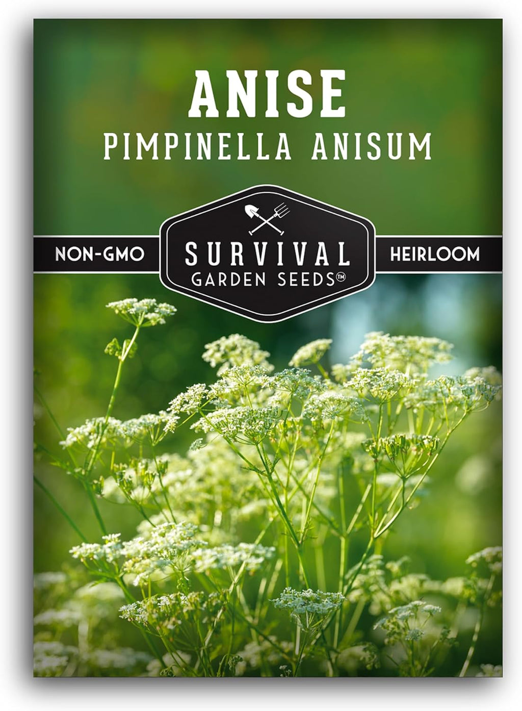 Anise Seeds for Planting - Sweet Anise Herb (Pimpinella anisum) - Culinary and Tea Garden Variety, Heirloom Non GMO - Survival Garden Seeds (1 Pack)