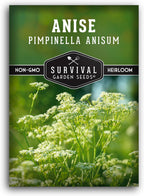 Anise Seeds for Planting - Sweet Anise Herb (Pimpinella anisum) - Culinary and Tea Garden Variety, Heirloom Non GMO - Survival Garden Seeds (1 Pack)