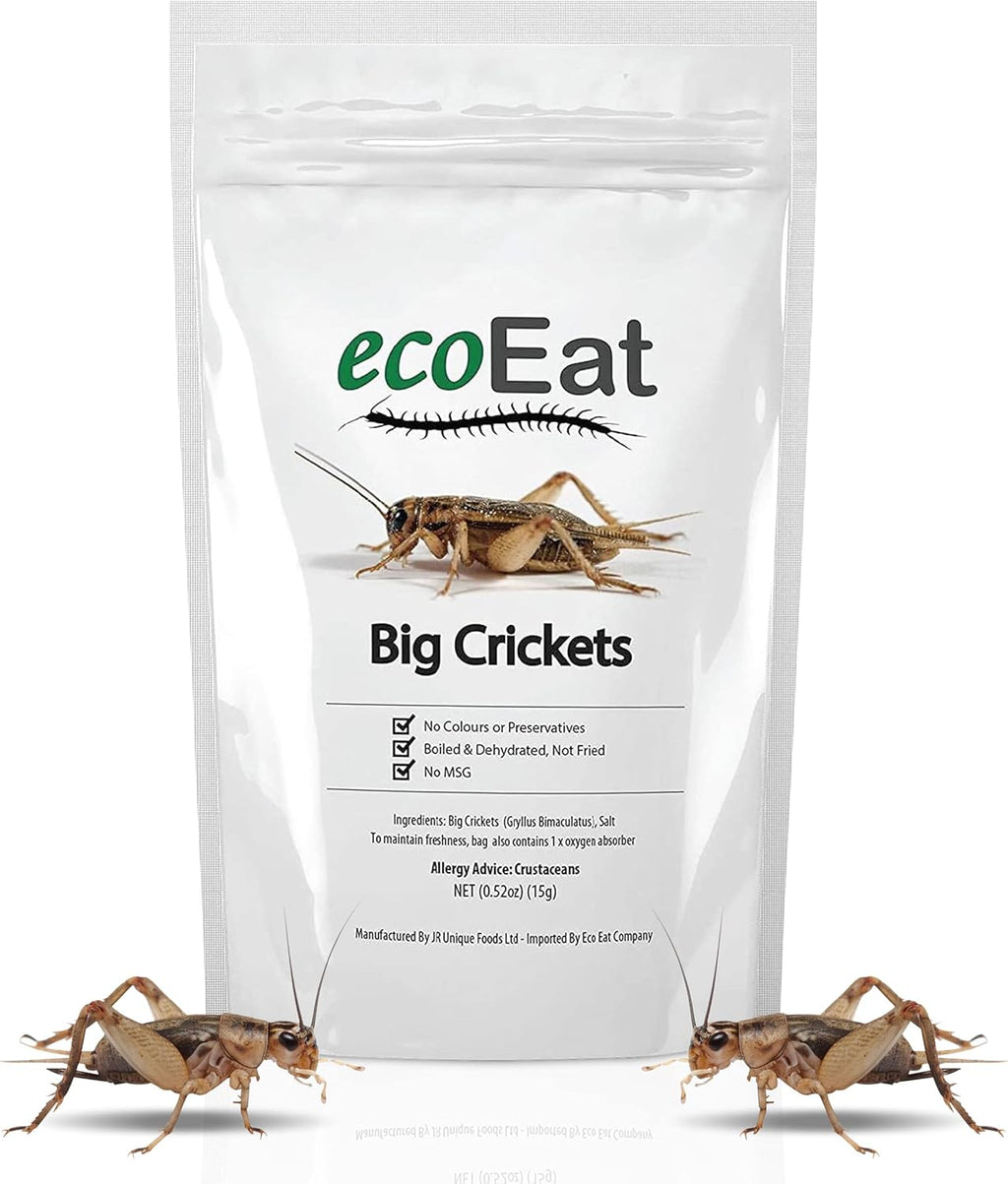 Edible Insects Big Black Crickets to Eat – Edible Bugs Edible Dehydrated Crickets - Snack Food Gifts (15g)