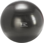 Gymnic Plus Burst-Resistant Exercise Ball