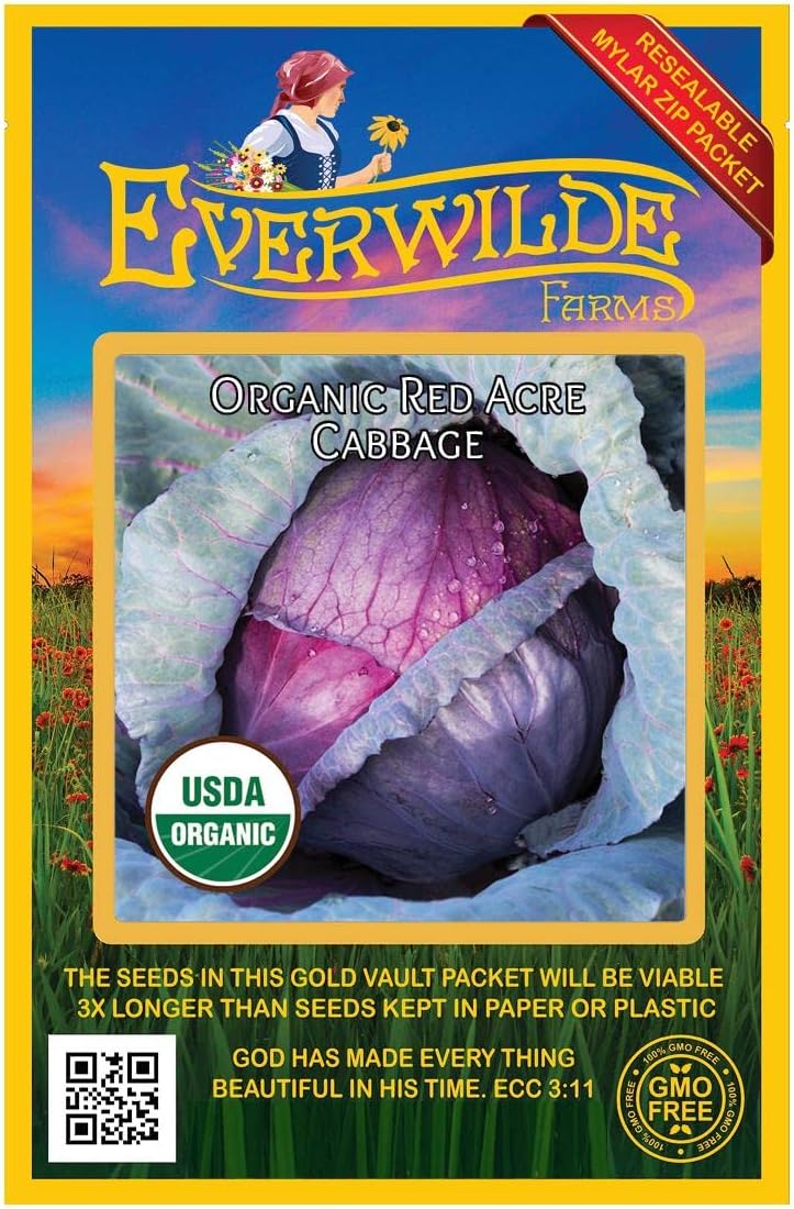 Everwilde Farms - 250 Organic Red Acre Cabbage Seeds - Gold Vault Packet