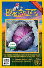 Everwilde Farms - 250 Organic Red Acre Cabbage Seeds - Gold Vault Packet