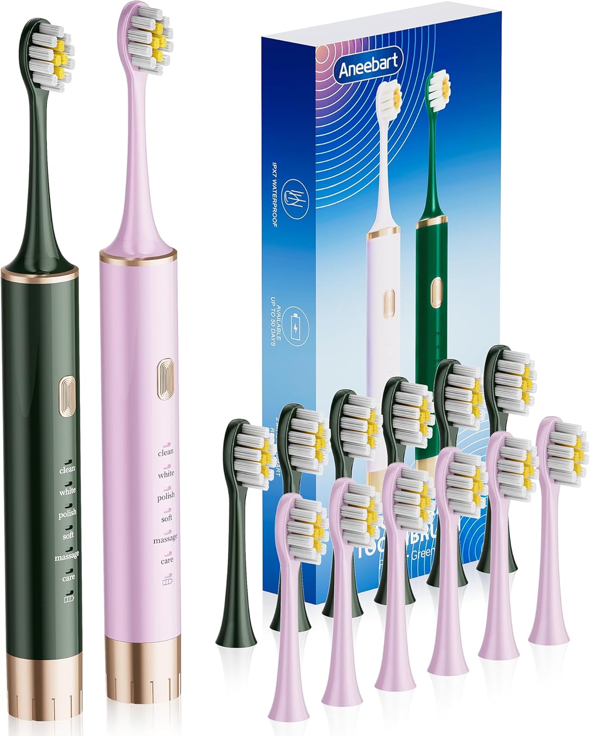 Aneebart Sonic 2 Pack Electric Toothbrush for Adults and Kids, Travel Toothbrush Includes 12 Replacement Toothbrush Heads, 6 Modes with 2 MIN Smart Timer (Purple, Green)