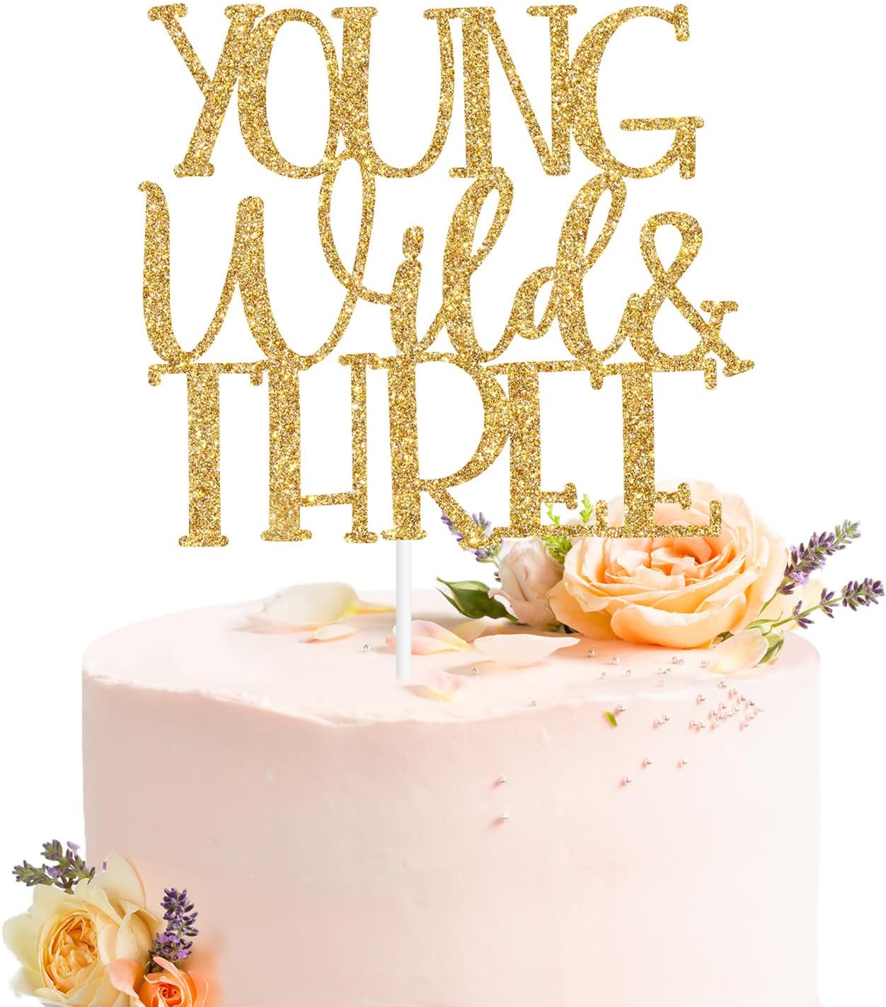 Young Wild and Three Cake Topper, Jungle 3rd Birthday, Happy 3rd Birthday Party Decorations Supplies