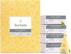 Tea Forte Black Currant Premium Caffeinated Black Tea Blend Event Box, Bulk Pack 40 Count, 10 per tray Individually Wrapped Handcrafted Pyramid Infusers
